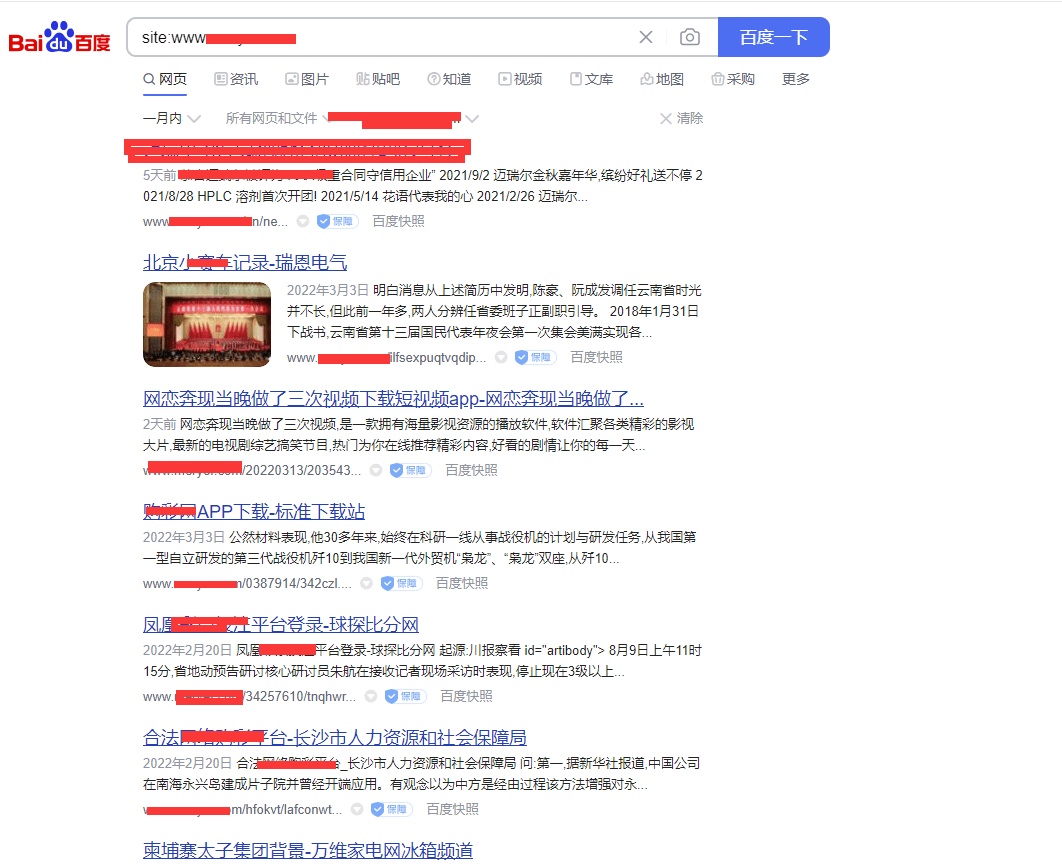 如何解决网站快照被劫持收录灰色内容的问题-图片1